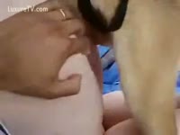 [ Beast Porn ] Outdoor threesome with a dog